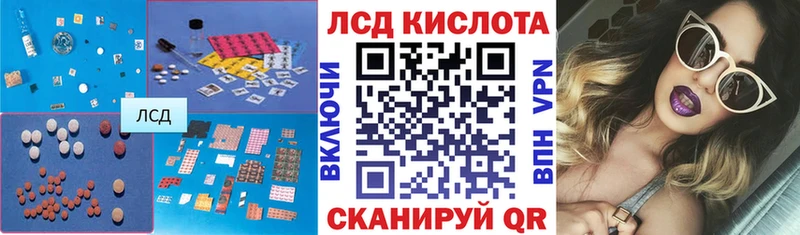 omg tor  где продают наркотики  Дорогобуж  ЛСД экстази ecstasy 