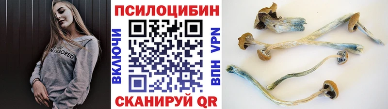 mega сайт  Дорогобуж  Галлюциногенные грибы мухоморы 
